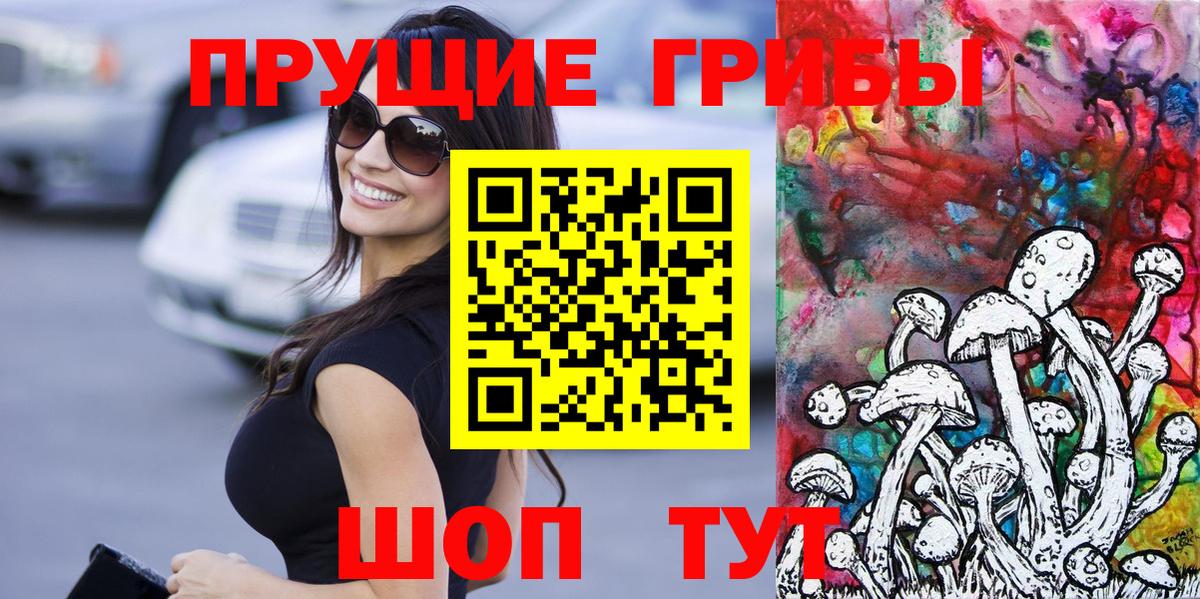 Псилоцибиновые грибы Psilocybine cubensis Клинцы